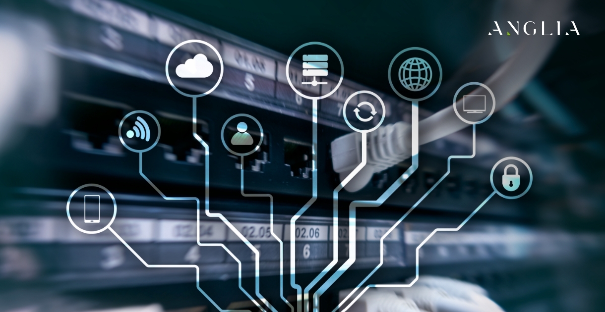 The Invisible Engine: How a Robust Backend Powers Complex User Experiences